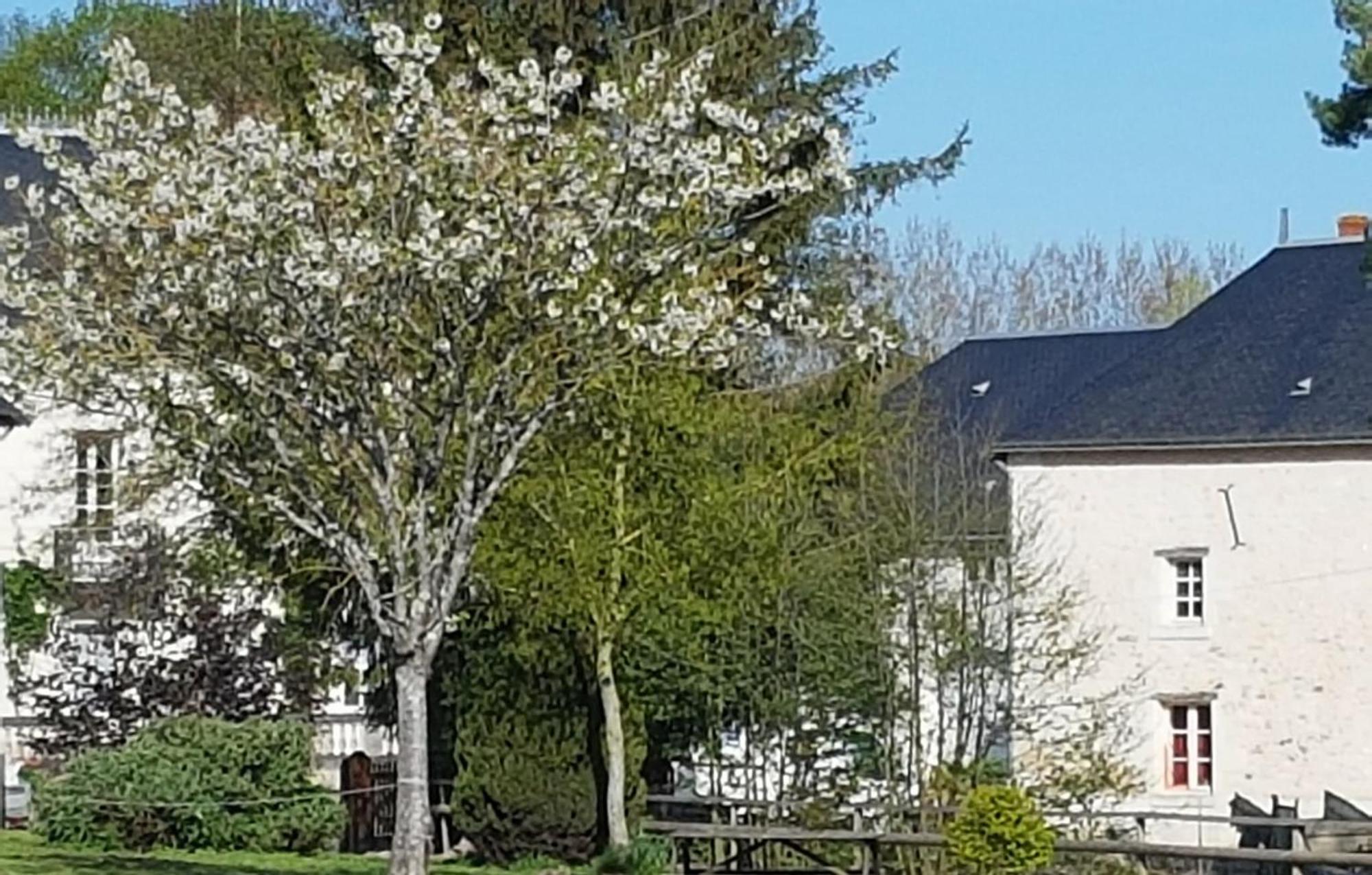 Domaine Du Moulin Neuf Aux Portes De Beauval Nouans-les-Fontaines Екстериор снимка