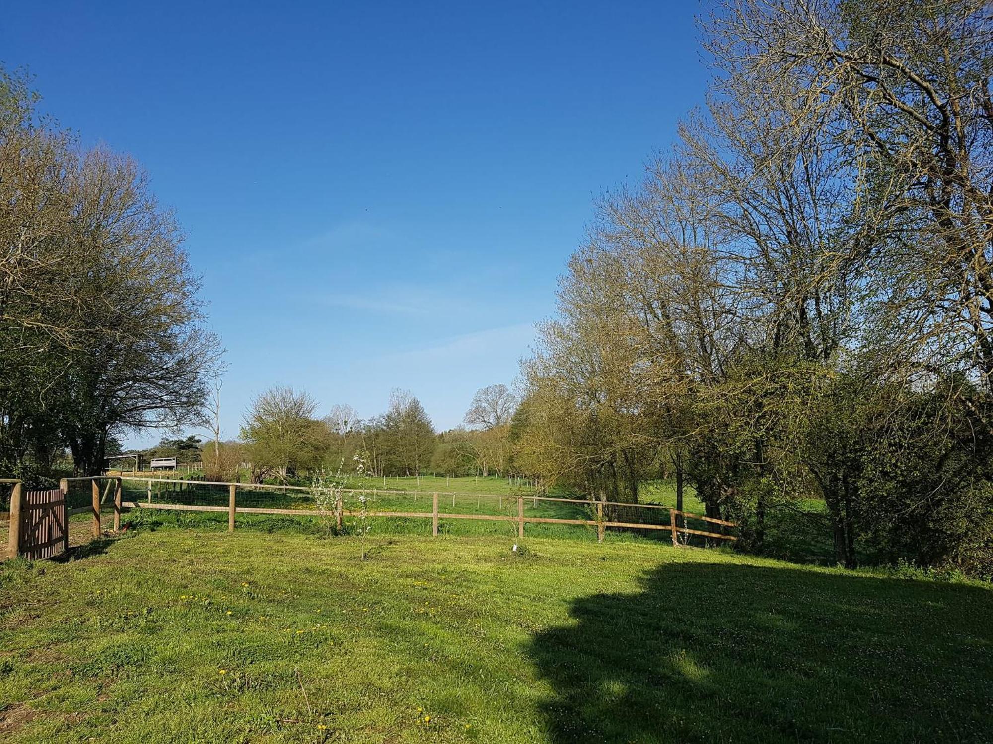 Domaine Du Moulin Neuf Aux Portes De Beauval Nouans-les-Fontaines Екстериор снимка