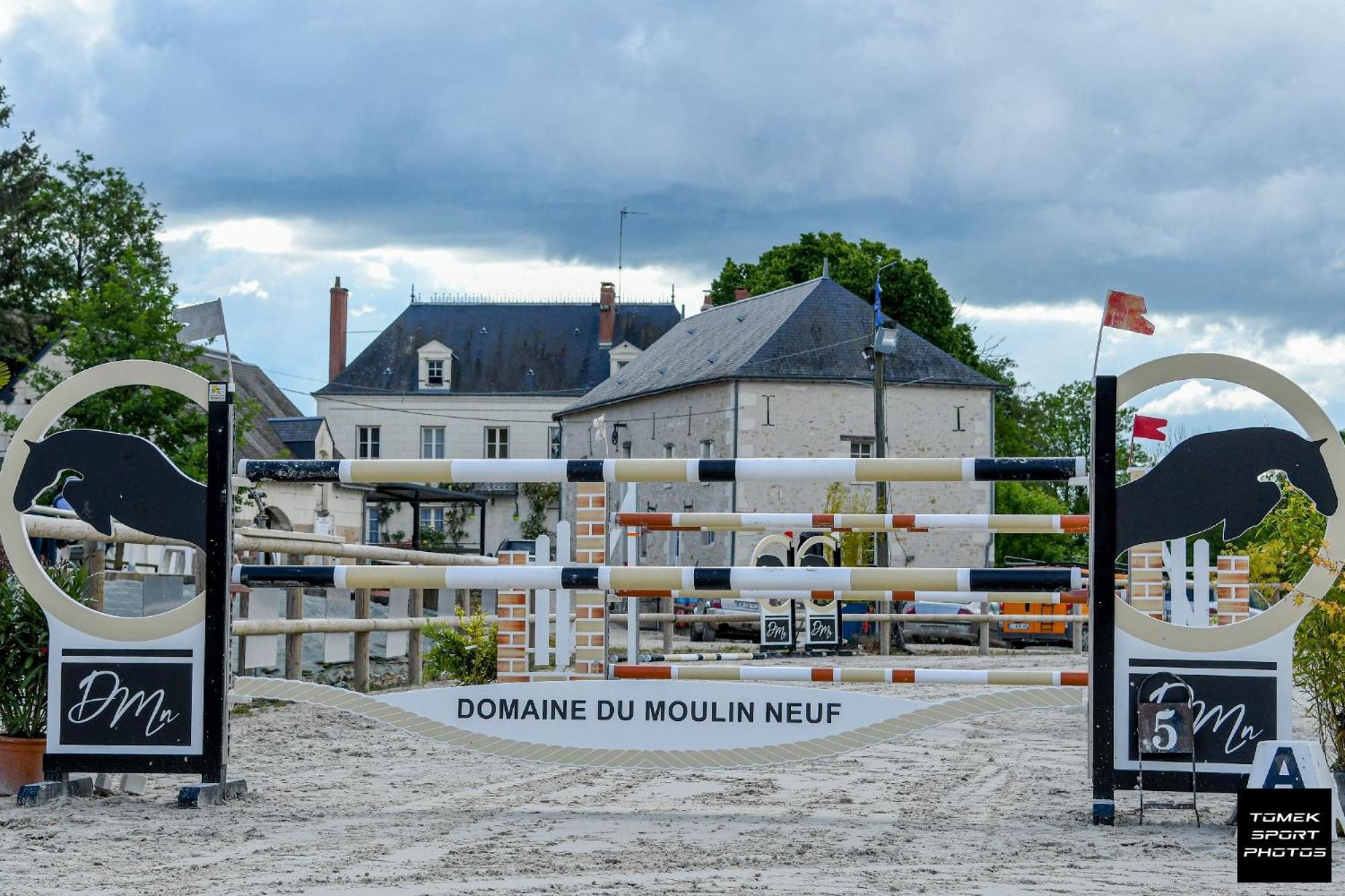 Domaine Du Moulin Neuf Aux Portes De Beauval Nouans-les-Fontaines Екстериор снимка